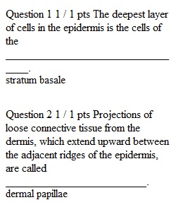 Quiz 5